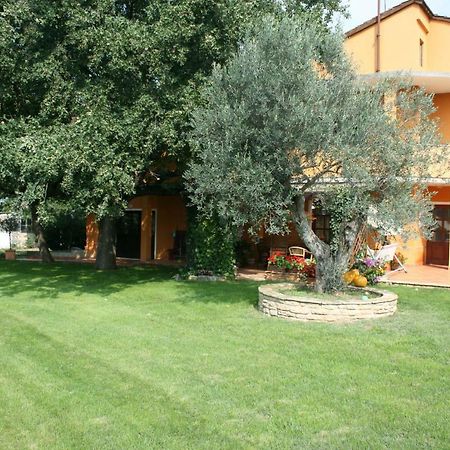 Sossa Apartments Umag Eksteriør bilde